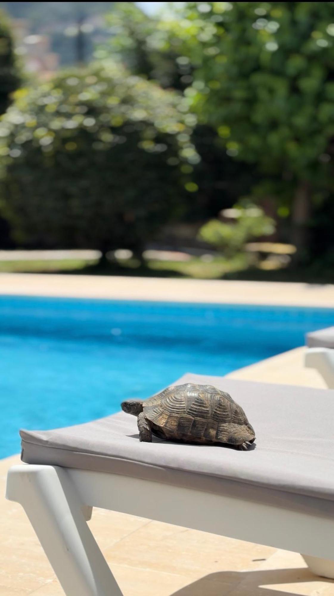 Villa Xanthos 301 Oludeniz Luaran gambar